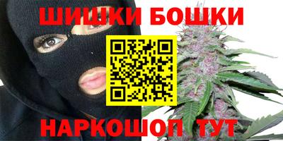 индика Заволжье