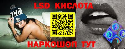 индика Заволжье