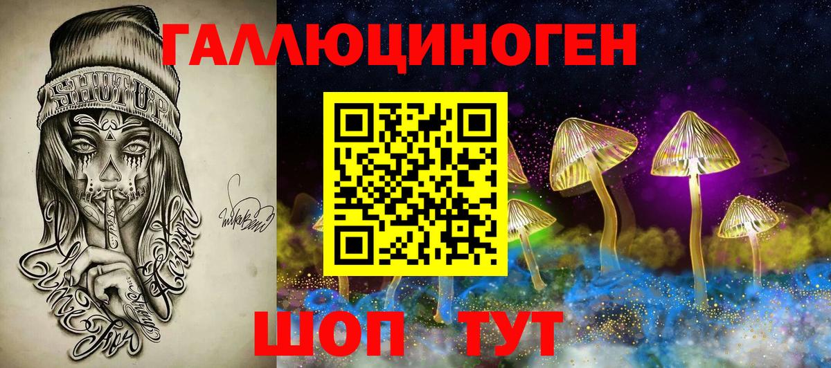 Псилоцибиновые грибы GOLDEN TEACHER  Псилоцибиновые грибы Cubensis  купить наркоту  Мурино  Вход с VPN 